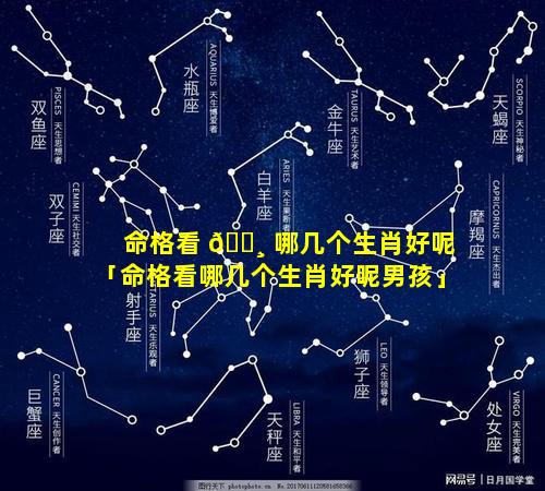命格看 🕸 哪几个生肖好呢「命格看哪几个生肖好呢男孩」